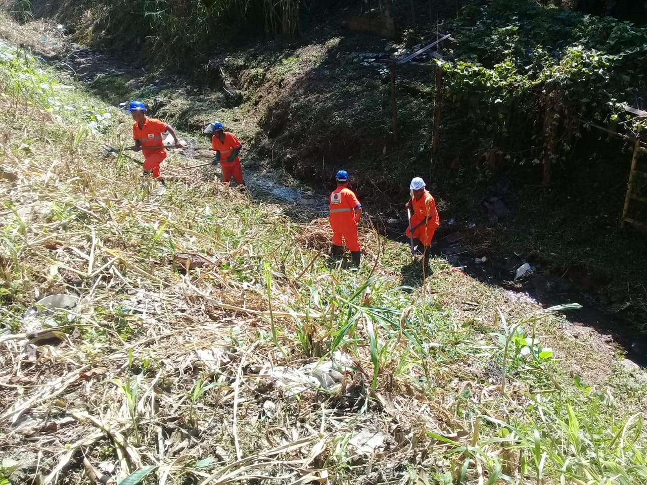 Trabalhadores estão no fundo de um vale do riacho que passa na rua João Carlos Ferreira. Com ferramenta manual, recolhe o mato seco, que foi cortado. 